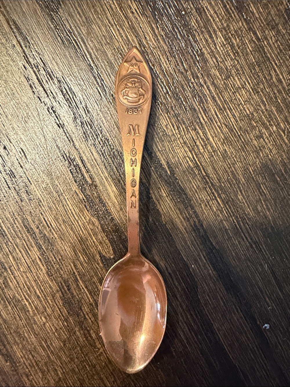 Michigan Collectible Copper Spoon - Copper Finish